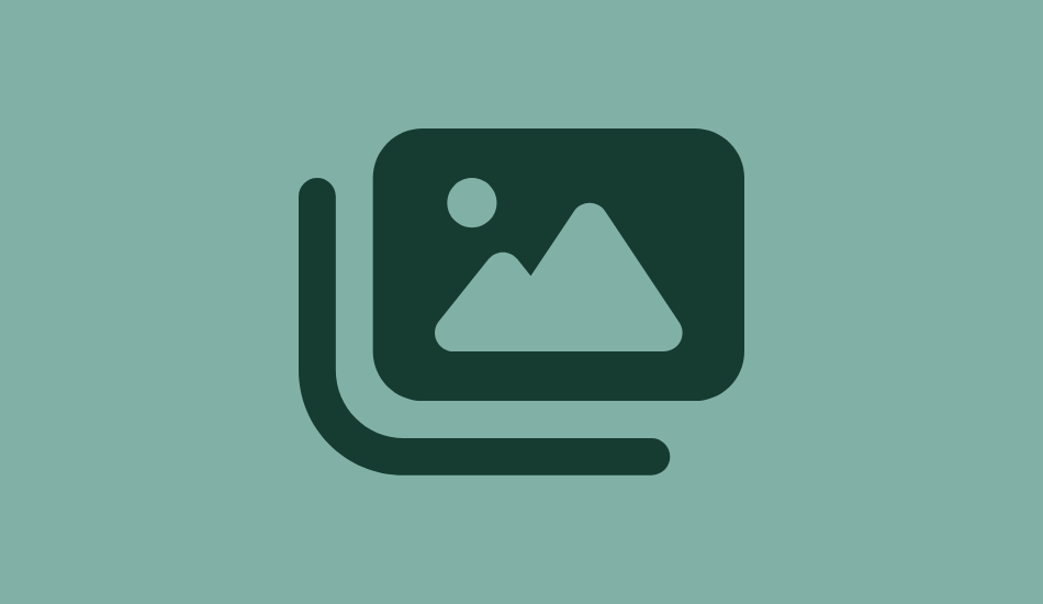 Endoscopic Society of India (ESFI): Life Member